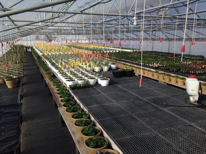 Lost Lake Acres Greenhouse Fall River, WI